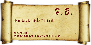 Herbst Bálint névjegykártya